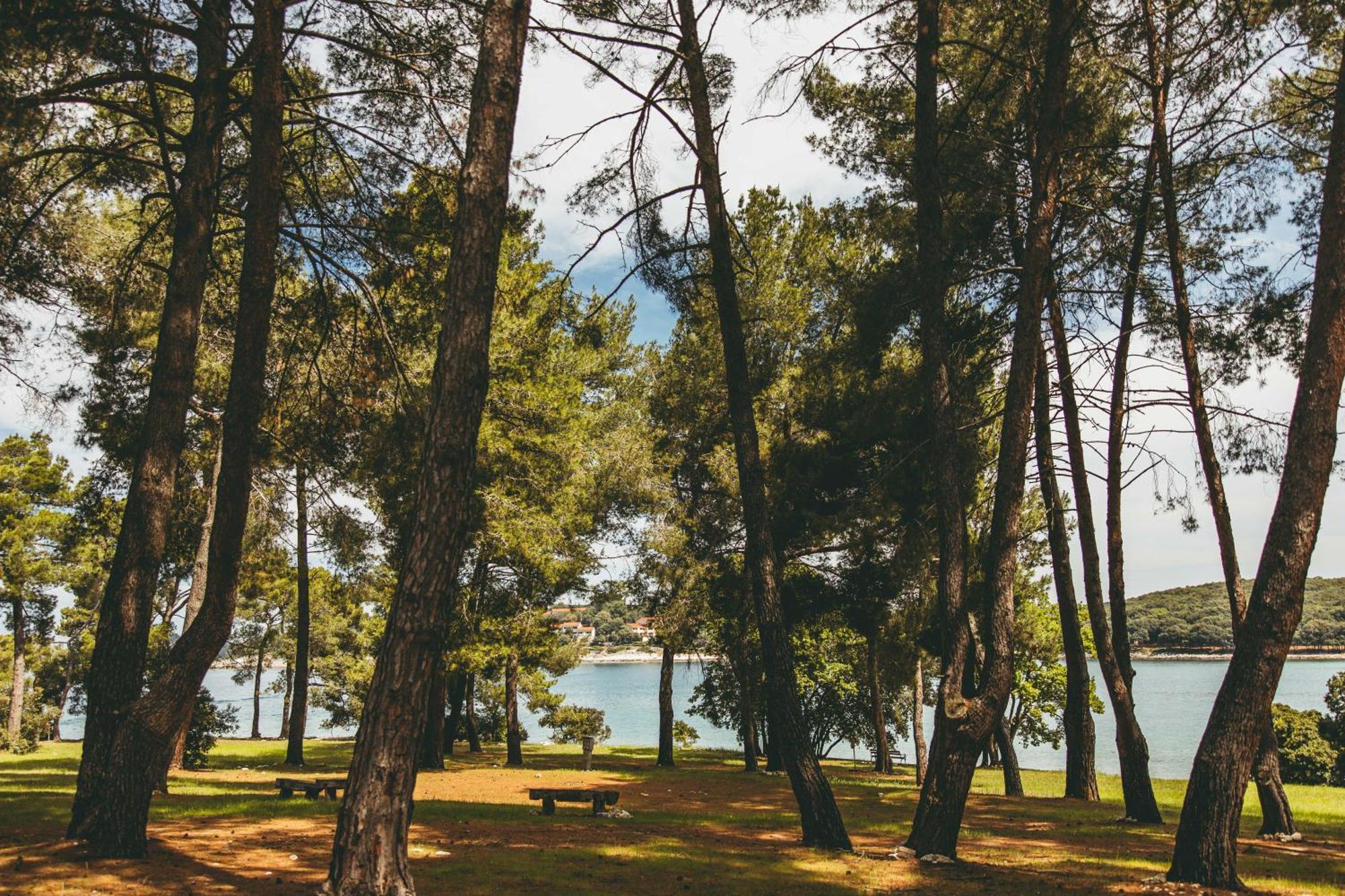 Maistra Camping Koversada Uncovered Naturist Pitches Vrsar Bagian luar foto