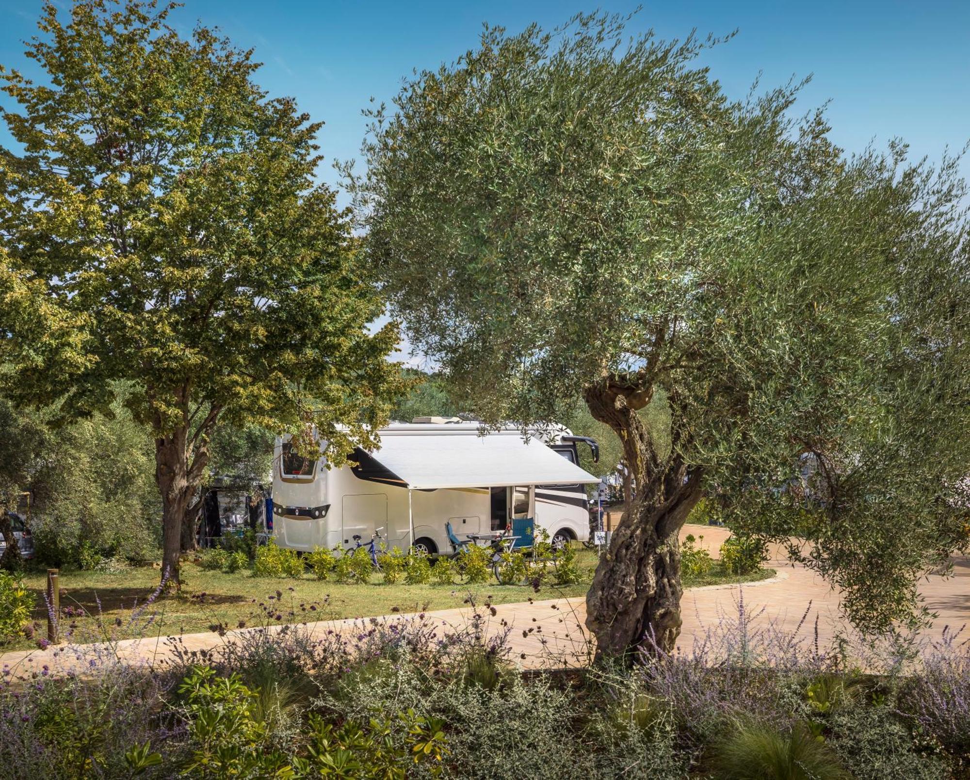 Maistra Camping Koversada Uncovered Naturist Pitches Vrsar Bagian luar foto